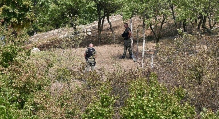 Kod uhapšenih migranata na Darivi danas pronađen pištolj, policija dronovima pratila osumnjičene