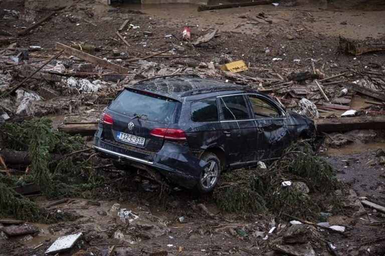 Da li će država zaraditi na 40 doniranih automobila osobama poplavljenih područja?
