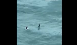 Muškarac se od uragana na Floridi spasio jer je 50 kilometara plutao na frižideru (VIDEO)