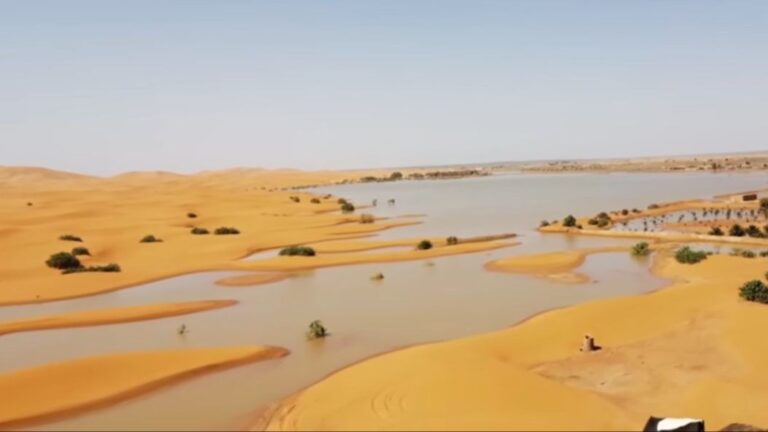 Poplava u Sahari prvi put u 50 godina, evo kako to izgleda