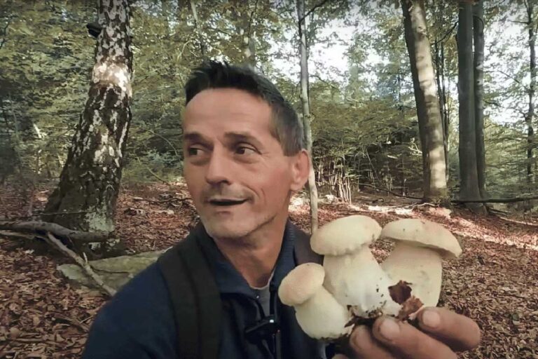 ŽEPČE: Najbolje vrganje našao u minskom polju (VIDEO)