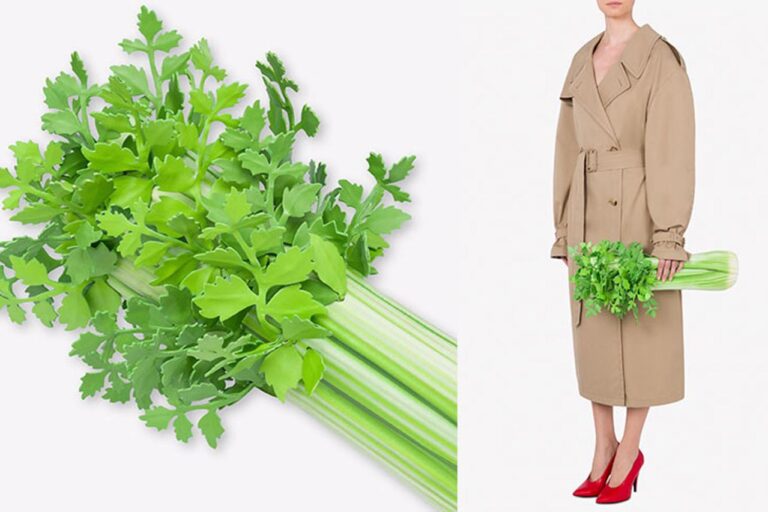 Moschino lansira torbu u obliku celera za više od 8 hiljada maraka