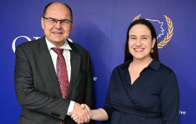 VRIJEDNA POHVALA | Šmit pohvalio Karić: Dala je izuzetan doprinos diplomatiji u interesu Sarajeva i BiH