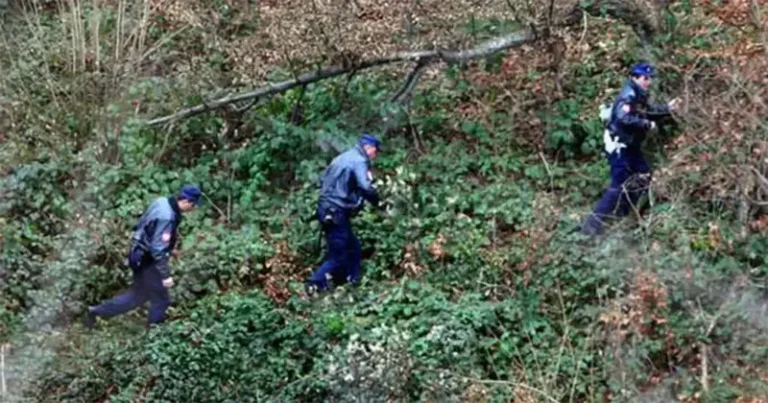 UŽAS U BIH: Maloljetnik pozvao druga da se pomire, pa ga izbo nožem i prekrio lišćem?