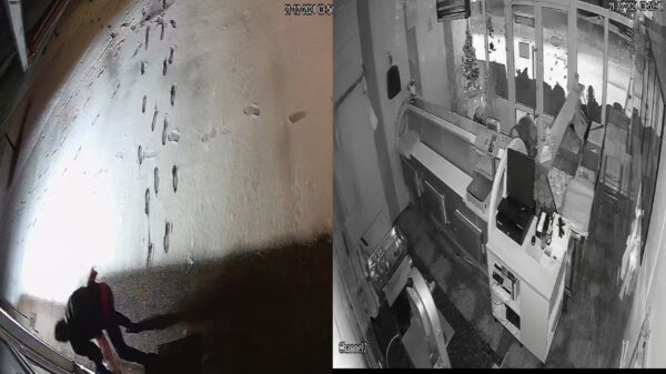 Pogledajte krađu u bh. mesnici: Lopov ukrao teletine za 900 KM