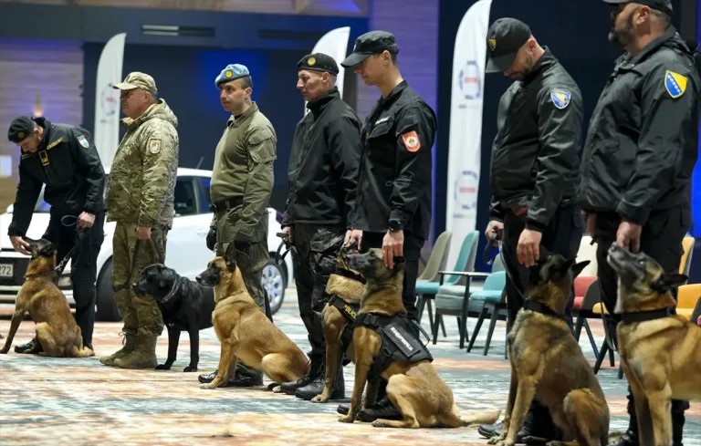 Državno takmičenje K9 jedinica: Policijski psi ključni u borbi protiv kriminala u BiH