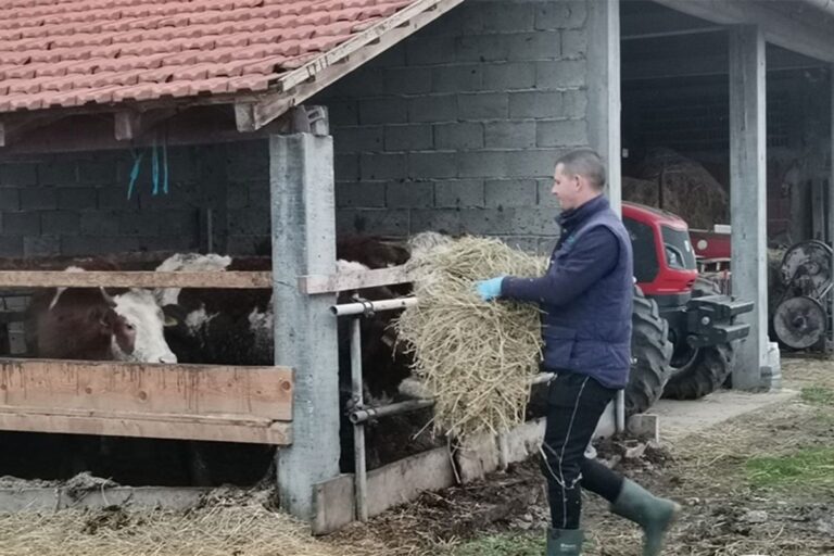 I OVO JE BIH: Ima stan u gradu, ali čim dođe s posla ide u štalu