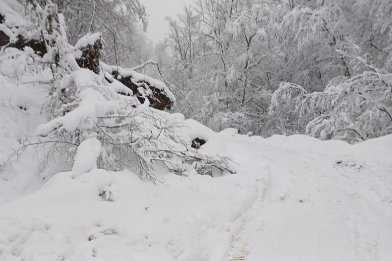Porodica prije tri dana izgubila kontakt s muškarcem u Priluku kod Zavidovića, niko mu ne može pomoći