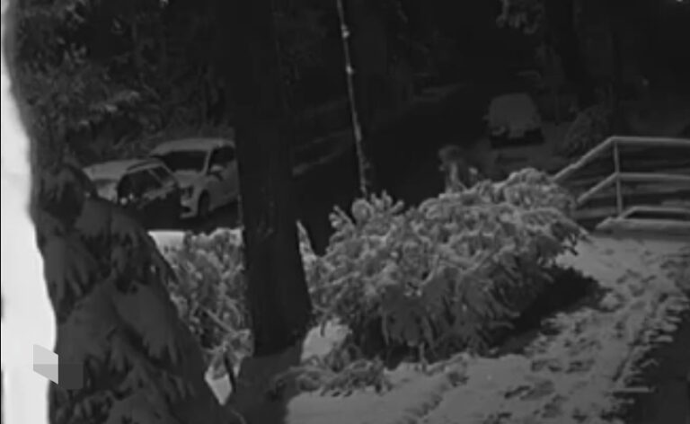 BiH | Neko u Sarajevu ukrao električki romobil kompanije Bin Bin