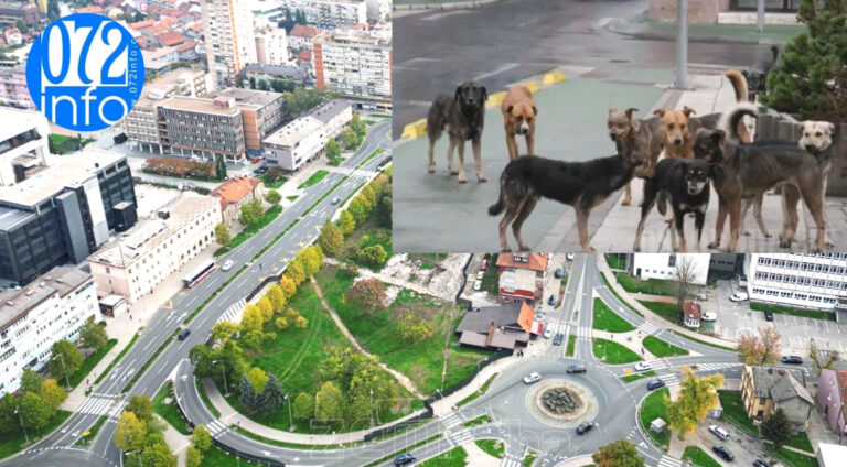 ZENICA: Potresna priča žene koju je napao čopor pasa lutalica – spasili je hrabri građani!