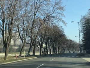Prognoza vremena