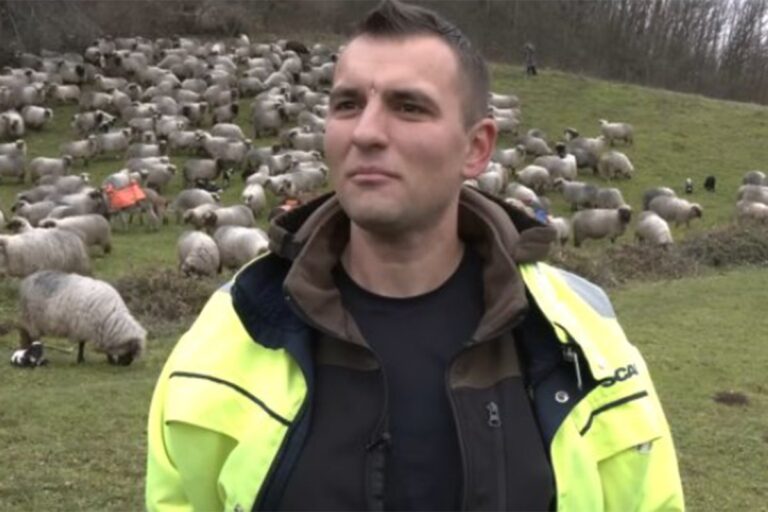 Zbog ovaca se vratio iz Danske u BiH
