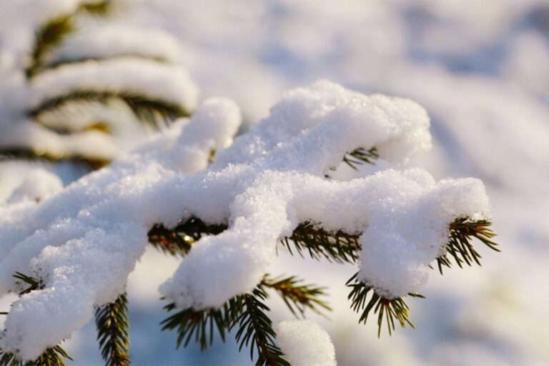 Poznati meteorolog tvrdi: S ovom sedmicom završava najhladniji dio zime