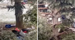 Migrant u Sarajevu napravio kućicu na drvetu - nije mu dugo potrajala