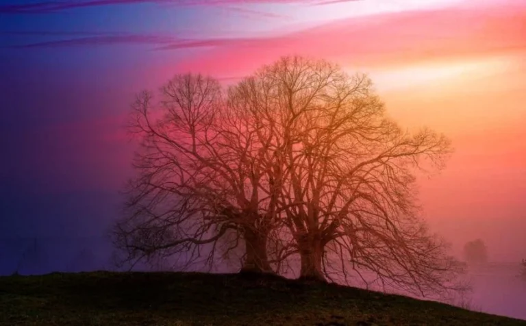 Astrolozi kažu: 2.2. je dan moći – pripremite se za čuda