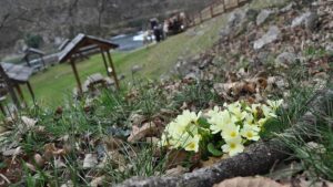 Narodni kalendar: U petak je počeo hamsin, evo kad udara prvo džemre, a kad preostala dva