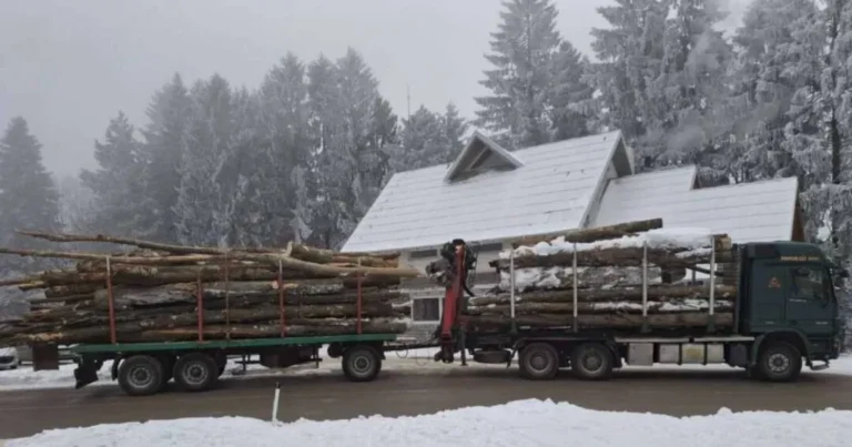 Poskupljuju drvni sortimenti, poznato i za koliko