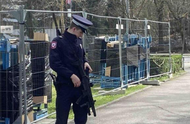 Duge cijevi na ulici, Višković i Stevandić u NSRS