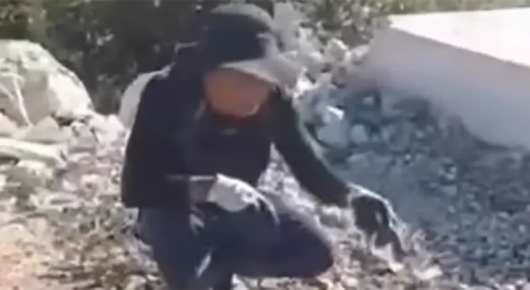 Da li je ovo moguće: Kinez u BiH peče psa? (VIDEO)