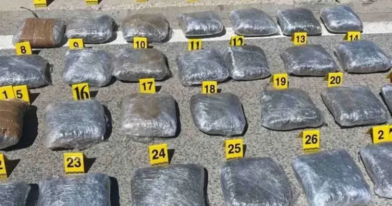 U toku pretresi: Pronađeno više od 100 kilograma marihuane, ima uhapšenih