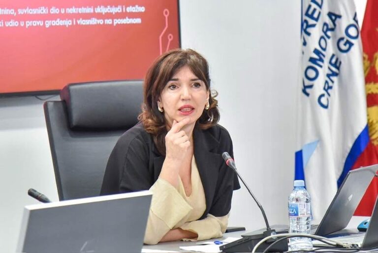 Larisa Velić izabrana za sutkinju Ustavnog suda BiH