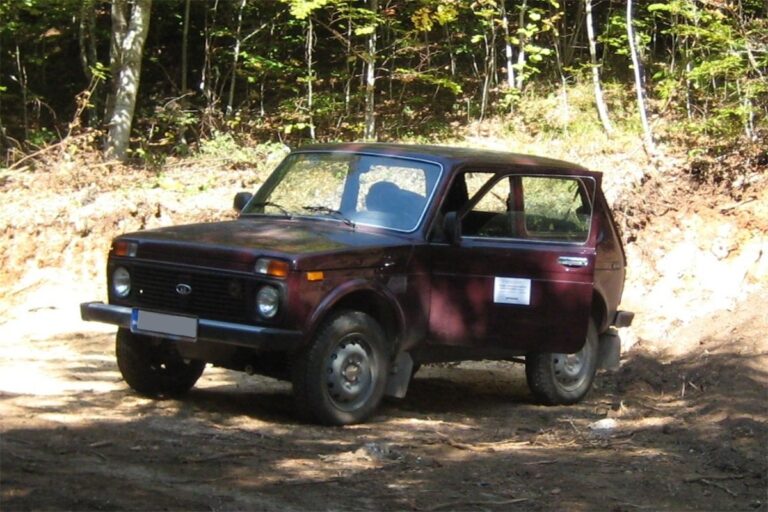 SLUČAJ U BIH: Šumaru ispred kuće zapaljen službeni auto, oštećen i privatni
