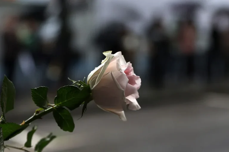 Dvije godine od masakra u osnovnoj školi u Beogradu, 3. i 4. maj će se obilježiti kao Dan sjećanja