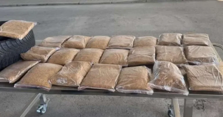 Državljanin BiH u rezervnom točku švercovao 11 kilograma duhana