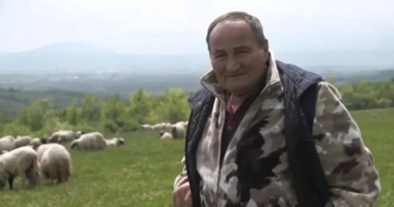 Pala prodaja janjadi uoči 1. maja: “Možeš ti cijeniti koliko hoćeš, ali koliko ćeš prodati…”