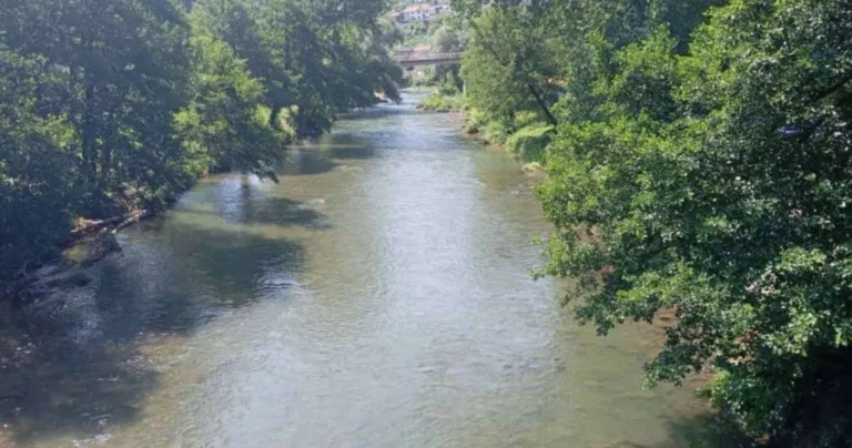 Ekološki incident: Vodu iz ove rijeke ne koristite za zalivanje bašte, napajanje stoke i kupanje
