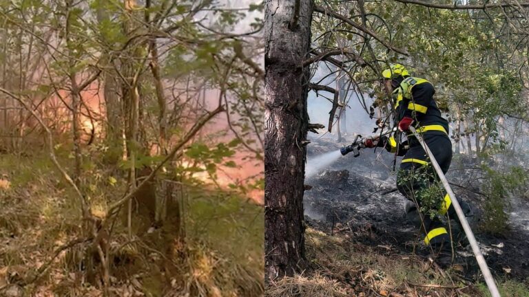 Vatrogasci iz Jablanice, Konjica i Prozora rame uz rame, hrvatski kanader donio spas i radost