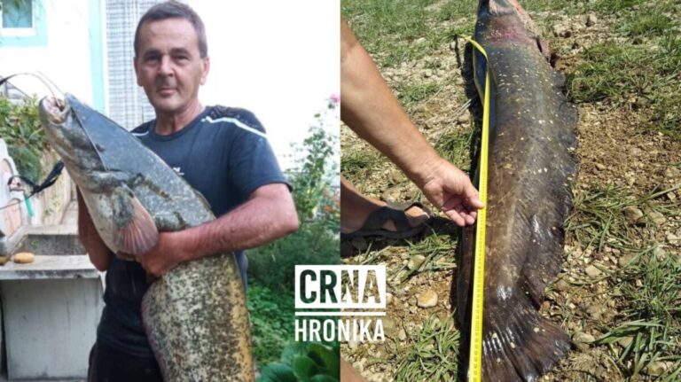 Ibro iz Topčić Polja upecao soma od 243 centimetra i teškog 48 kg
