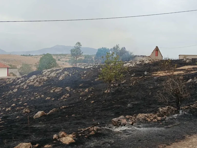 Kiša ugasila požare u Hercegovini!