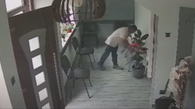 Dotaknuo dno: Ukrao novac doniran za djevojčicu oboljelu od raka, pa sve potrošio u kladionici