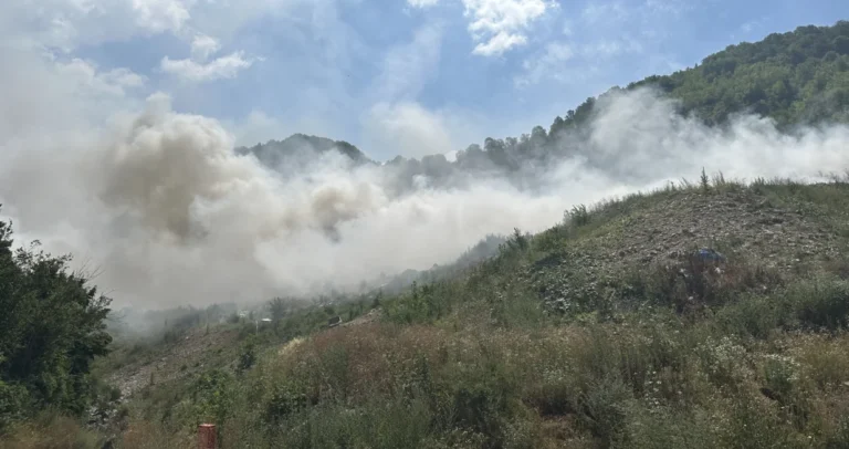 Zatrpavanje deponije: Da li će ovo zaustaviti ekološku katastrofu?