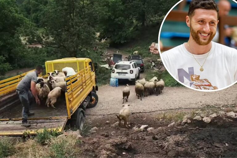 Humani gest: NBA zvijezda spasila porodicu od gladi