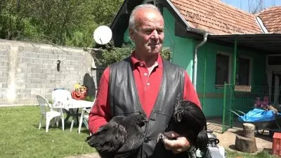 Mujo gaji najskuplje kokoške na svijetu: Cijena me ne zanima