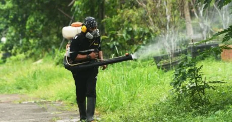 U ovoj zemlji zavladao opasan virus koji prenose komarci: Samo prošle sedmice 3.000 zaraženih