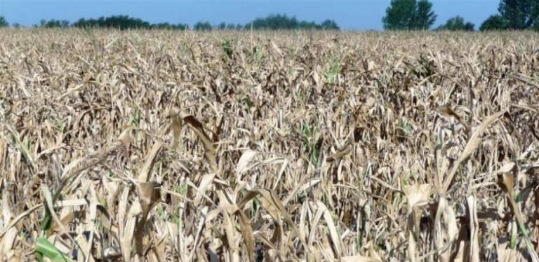 Naučnici upozoravaju na klimatsku krizu koja podstiče sve češće i smrtonosnije poplave