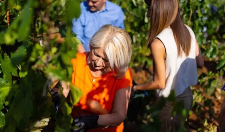 Bit će vina: Krišto ugostila diplomate u berbi grožđa