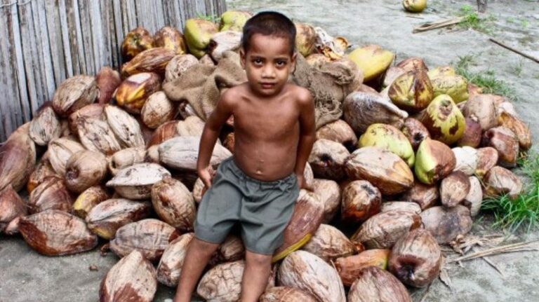 Kiribati: Država u kojoj kokos pravi hljeb, struju i plin