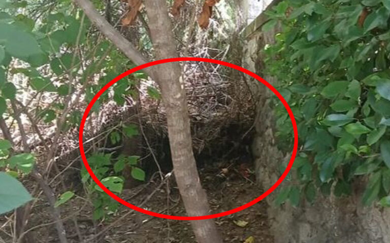 Srbija: Umotali bebu u ćebe, strpali je u u kesu i ostavili pored kontejnera