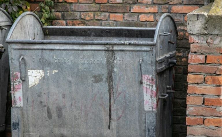 Ispitana majka koja je ostavila bebu u Zemunu pored kontejnera, oglasio se i otac: “Tresao sam se”