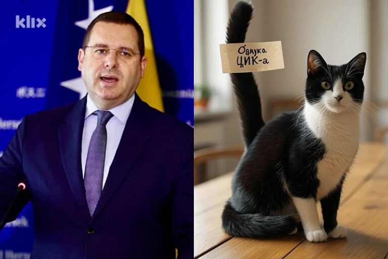 Portparol SNSD-a objavio sliku mačke s porukom CIK-u i napisao: Vidimo se na izborima sljedeće godine