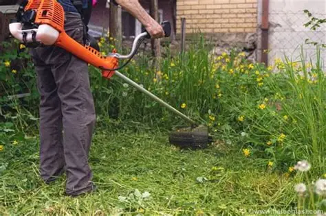 Kosidba opet na cijeni – dnevnice idu i do 100 maraka