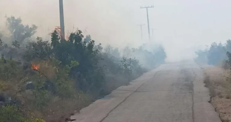 Okončana borba sa vatrom: Požar u Neumu ugasila kiša