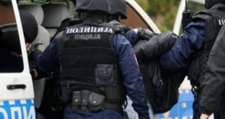 Uhapšen muškarac zbog nasilja u porodici, policija mu našla puške, pištolj…