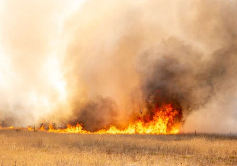 Nova drama u Crnoj Gori: Javljaju se podzemni, velika borba sa vatrom kod Podgorice