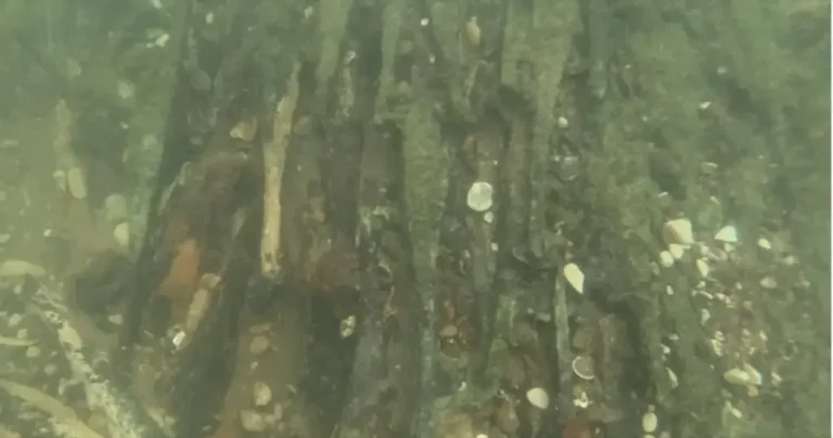 U BiH pronađena veća količina metalnih poluga, vjeruje se da su stare više od 2.000 godine