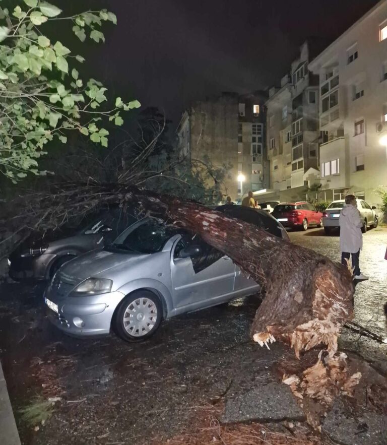 Nevrijeme u Mostaru nanijelo veliku materijalnu štetu: Vjetar čupao stabla iz korijena, komunalne službe na terenu